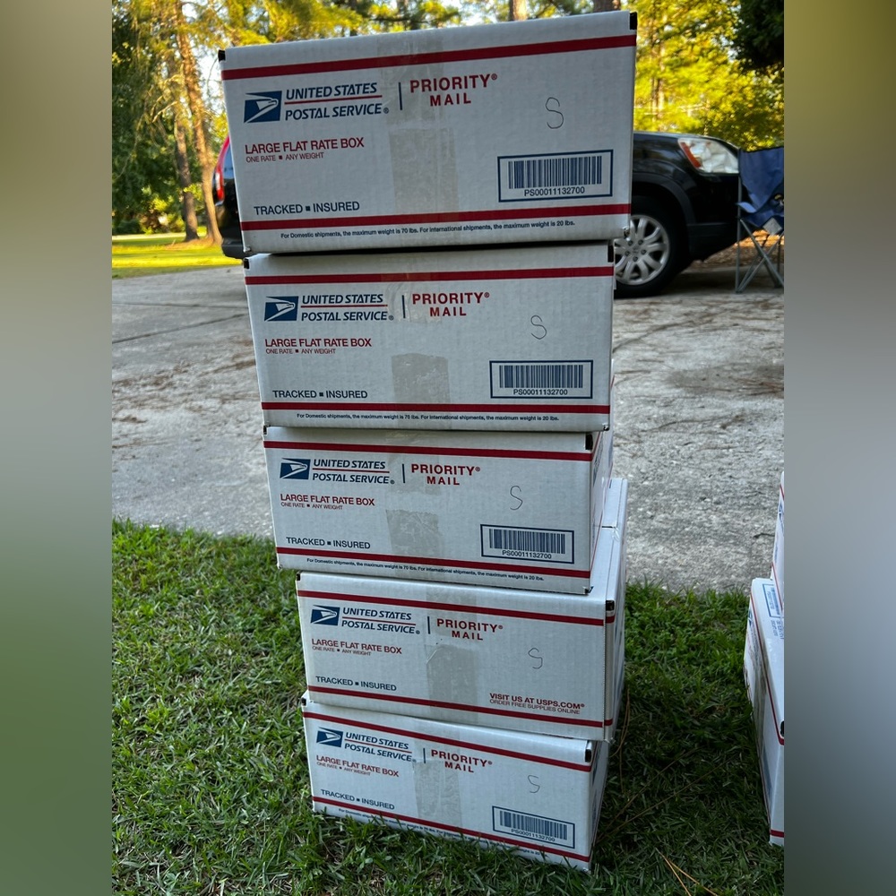 Woman’s Mystery Box Size S Lot